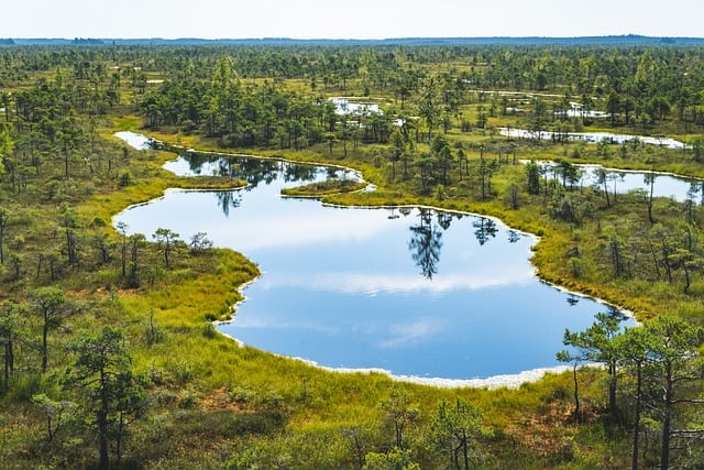 Marais